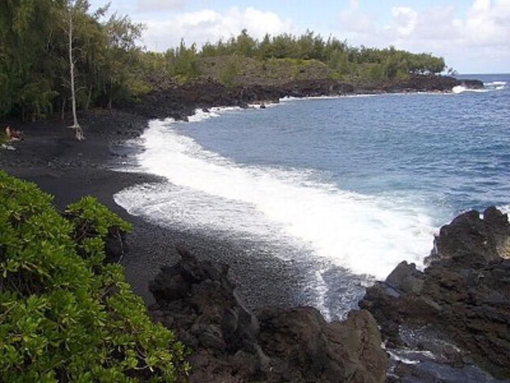 Coconut Palms Vacation Rental Near Lava Fields And Beaches Kehena Exteriör bild