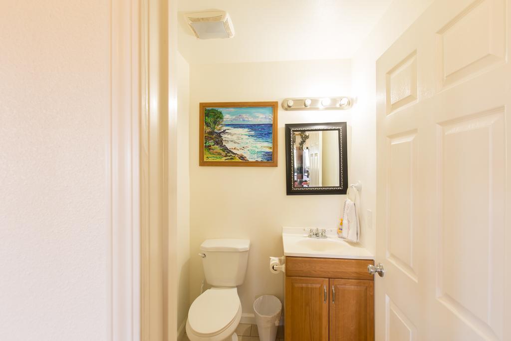 Coconut Palms Vacation Rental Near Lava Fields And Beaches Kehena Exteriör bild