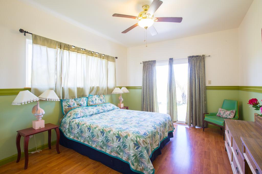 Coconut Palms Vacation Rental Near Lava Fields And Beaches Kehena Exteriör bild