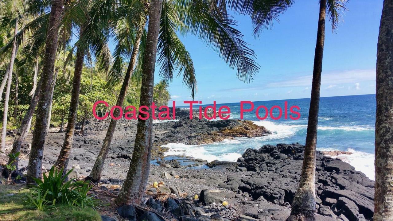 Coconut Palms Vacation Rental Near Lava Fields And Beaches Kehena Exteriör bild